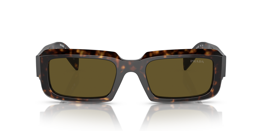 Loden/Black