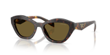 Root Tortoise