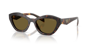 Root Tortoise  - Dark Brown