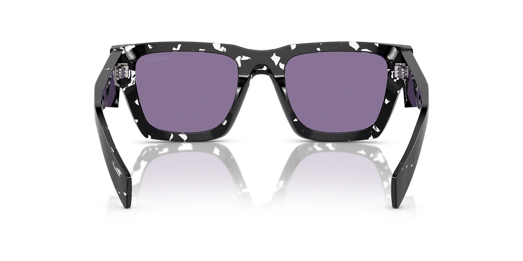 Tortoise Black Crystal