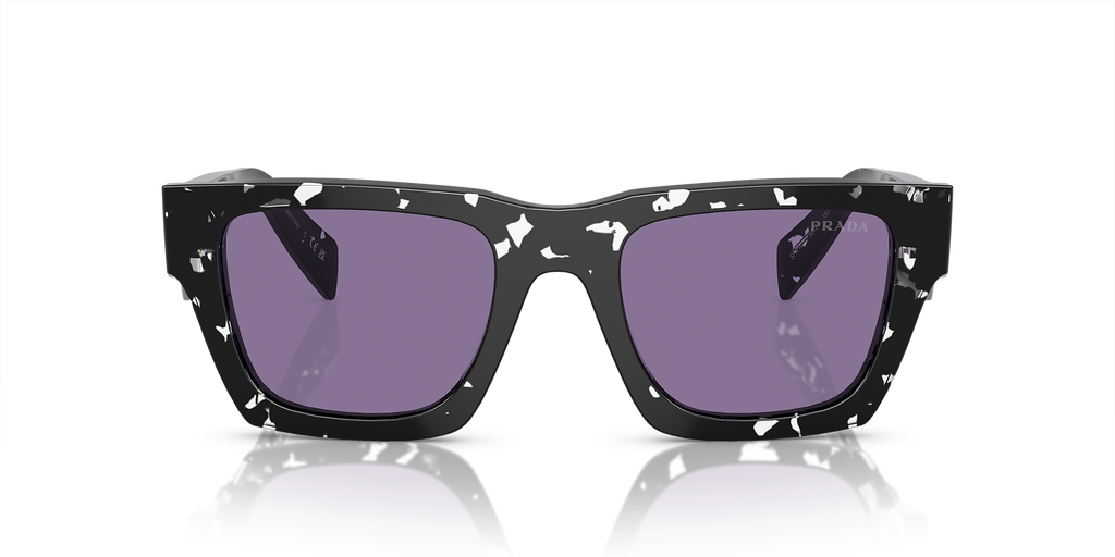 Tortoise Black Crystal