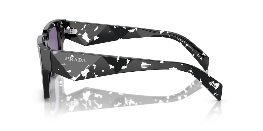 Tortoise Black Crystal
