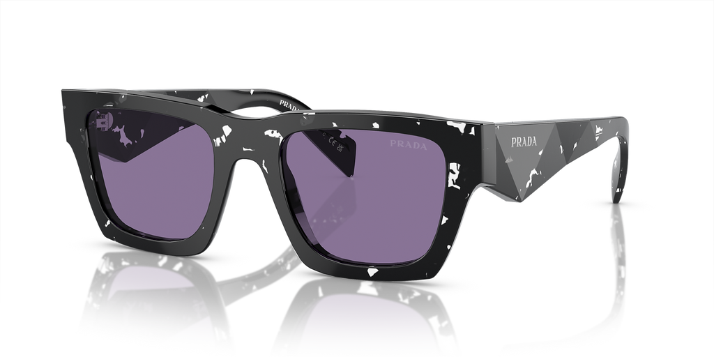 Tortoise Black Crystal