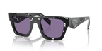 Tortoise Black Crystal