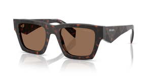 Root Tortoise  - Dark Brown