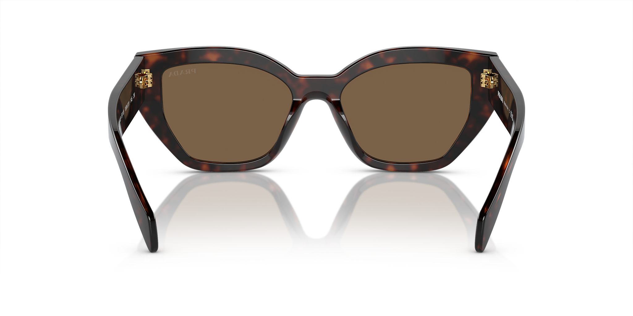 Briar Tortoise