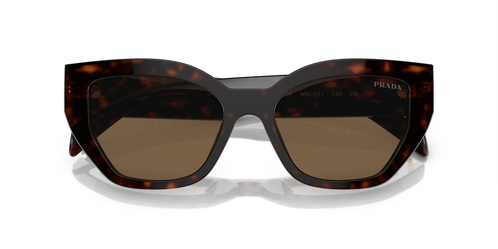Briar Tortoise