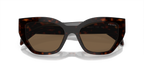 Briar Tortoise