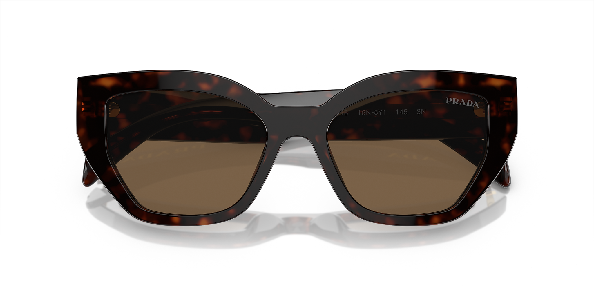 Briar Tortoise