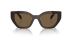 Briar Tortoise