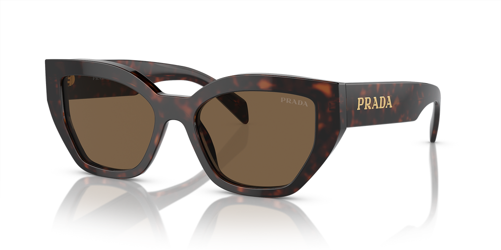 Briar Tortoise