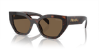 Briar Tortoise
