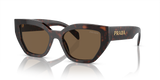 Briar Tortoise  - Dark Brown