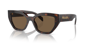 Briar Tortoise  - Dark Brown