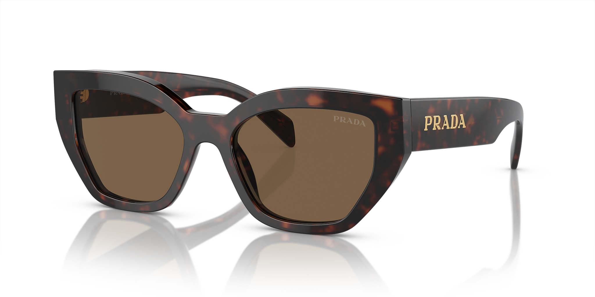 Briar Tortoise