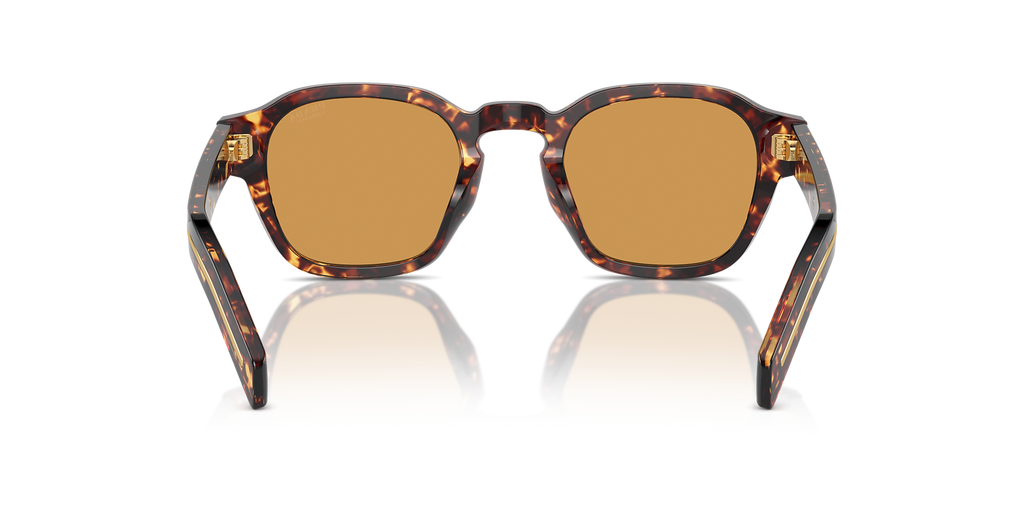 Magma Tortoise