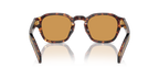 Magma Tortoise