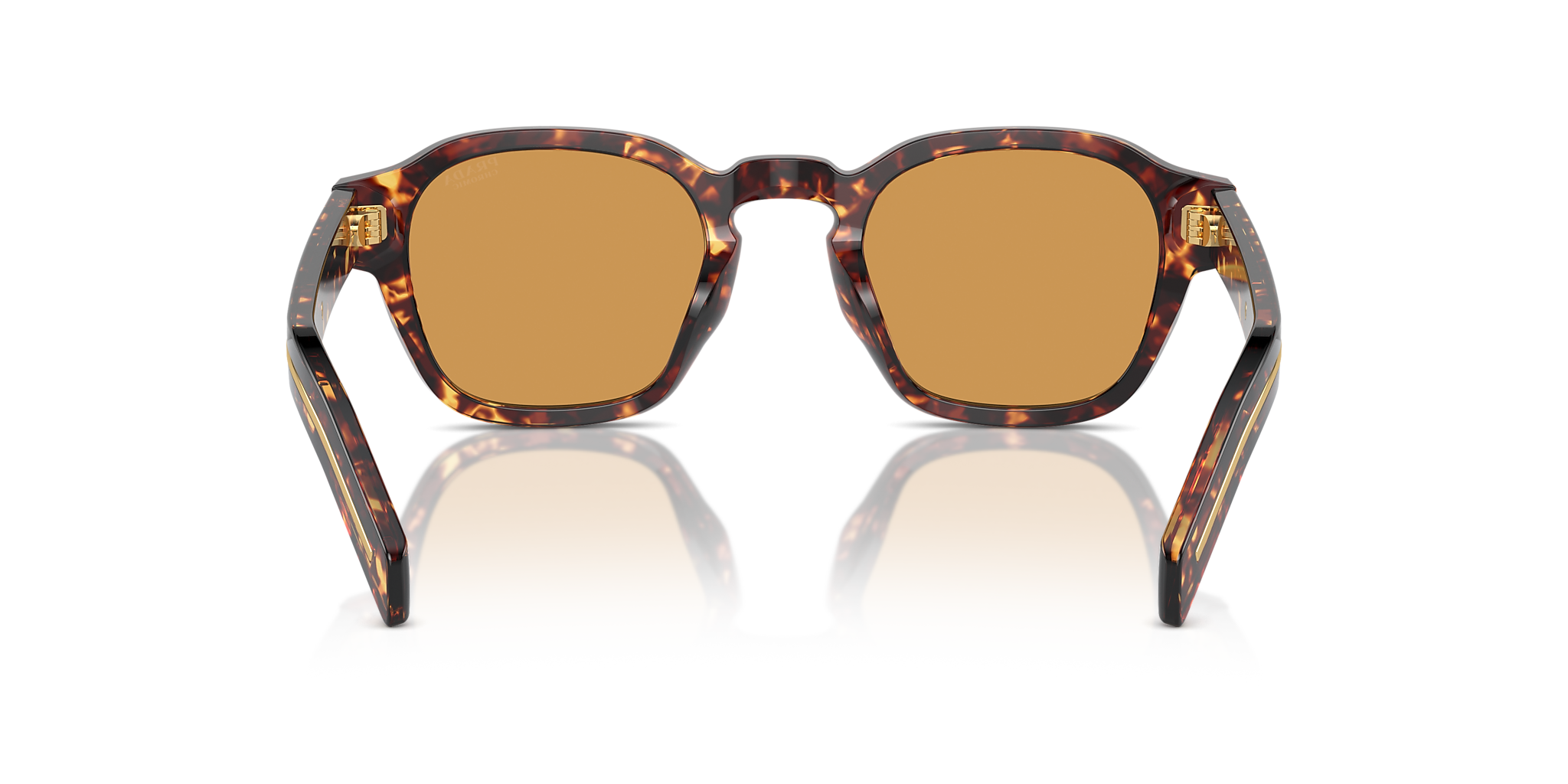 Magma Tortoise