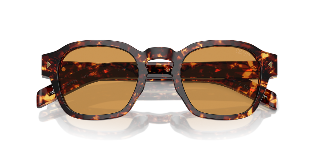 Magma Tortoise