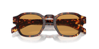 Magma Tortoise