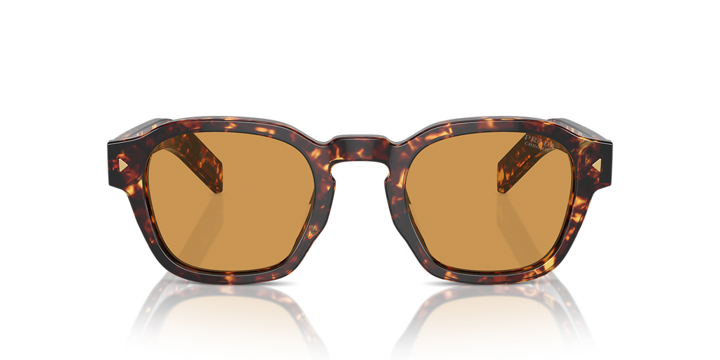Magma Tortoise