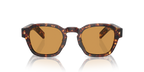 Magma Tortoise
