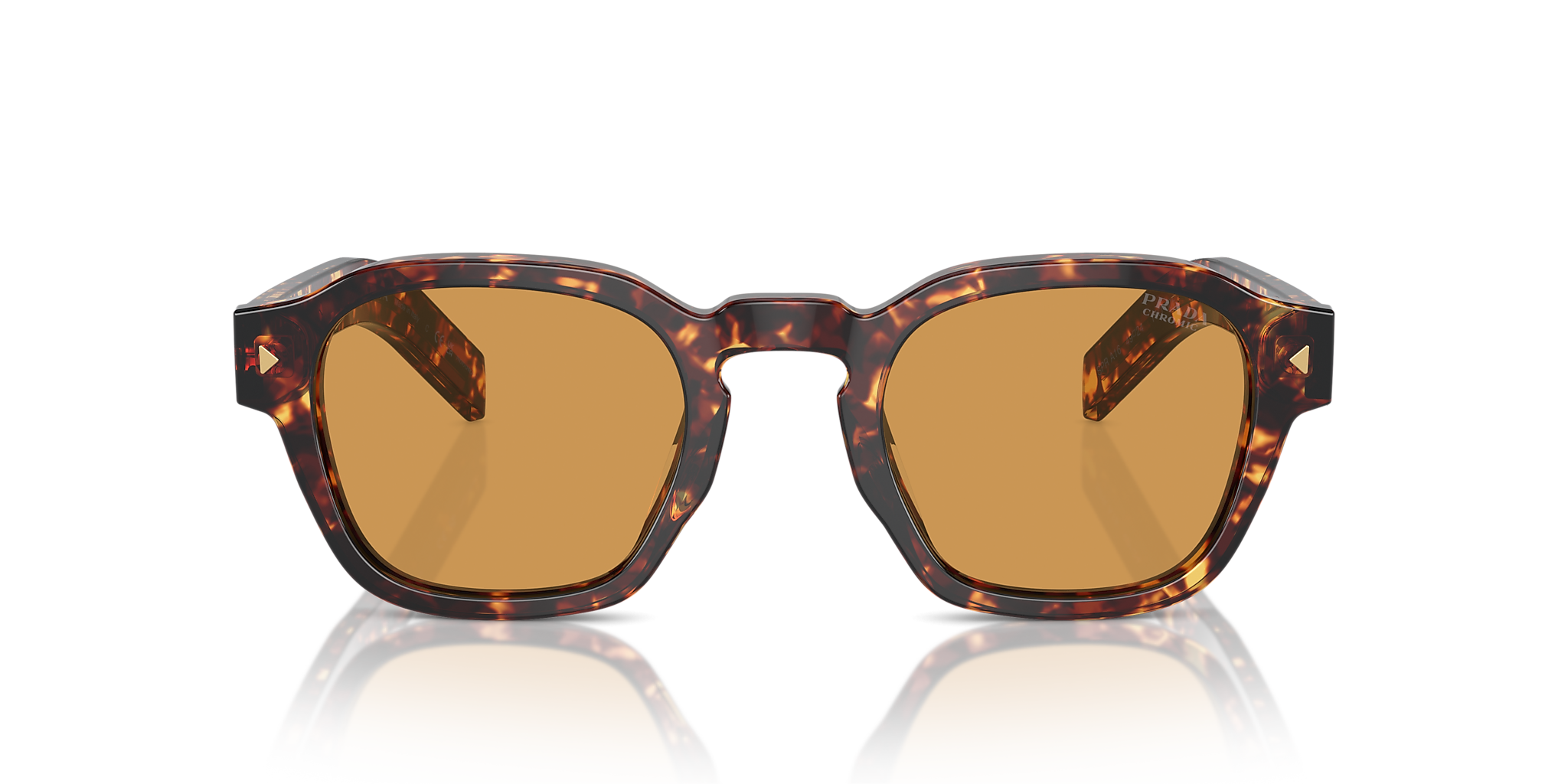Magma Tortoise