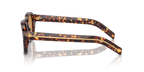 Magma Tortoise