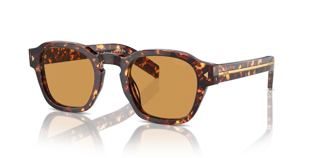 Magma Tortoise