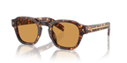 Magma Tortoise