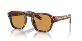 Magma Tortoise  - Light Brown Photo