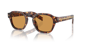 Magma Tortoise  - Light Brown Photo
