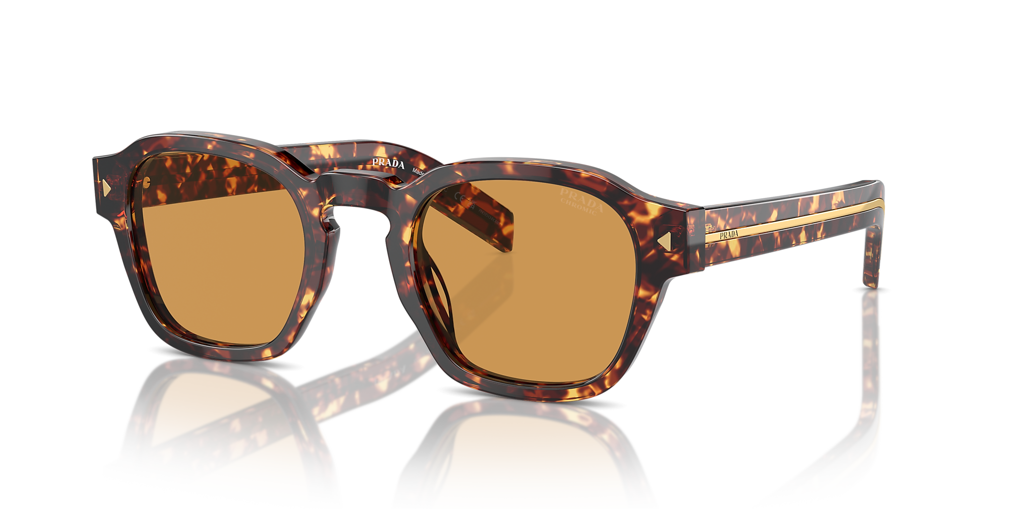 Magma Tortoise