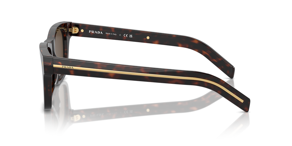 Radica Tortoise