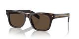 Radica Tortoise  - Dark Brown