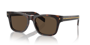Radica Tortoise  - Dark Brown