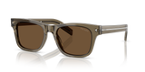 Transparent Terra  - Dark Brown