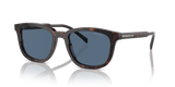 Radica Tortoise