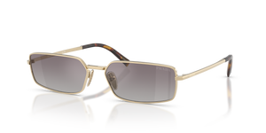 Pale Gold  - Gradient Blue Mirror Silver