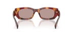 Poppy Tortoise