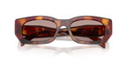Poppy Tortoise
