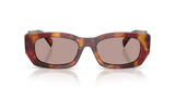 Poppy Tortoise