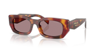 Poppy Tortoise