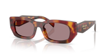 Poppy Tortoise