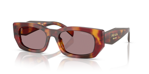 Poppy Tortoise  - Light Purple Brown