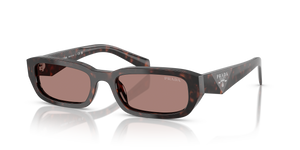 Root Tortoise  - Light Brown