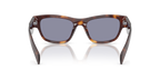 Classic Tortoise