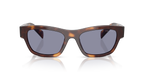 Classic Tortoise