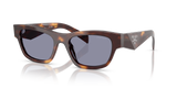 Classic Tortoise  - Grey