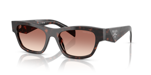 Root Tortoise  - Light Brown Gradient Bordeaux